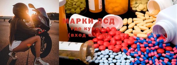 apvp Алексин