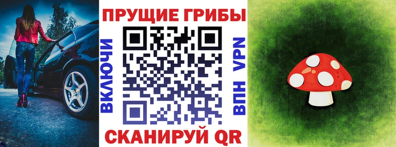 Галлюциногенные грибы Cubensis  shop какой сайт  Строитель 